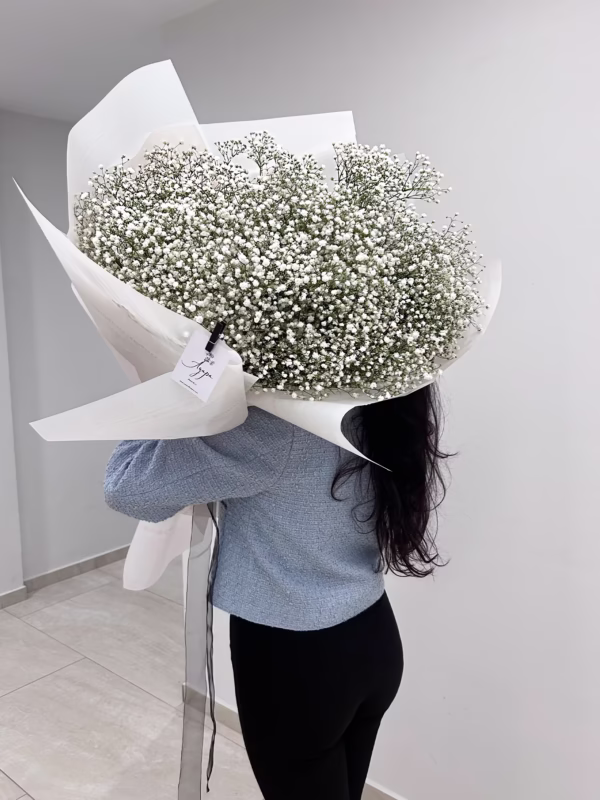 Букет baby's breath