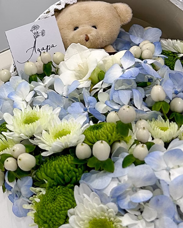 Кошче за новородено - Image 2